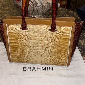 Brahmin should bag medium